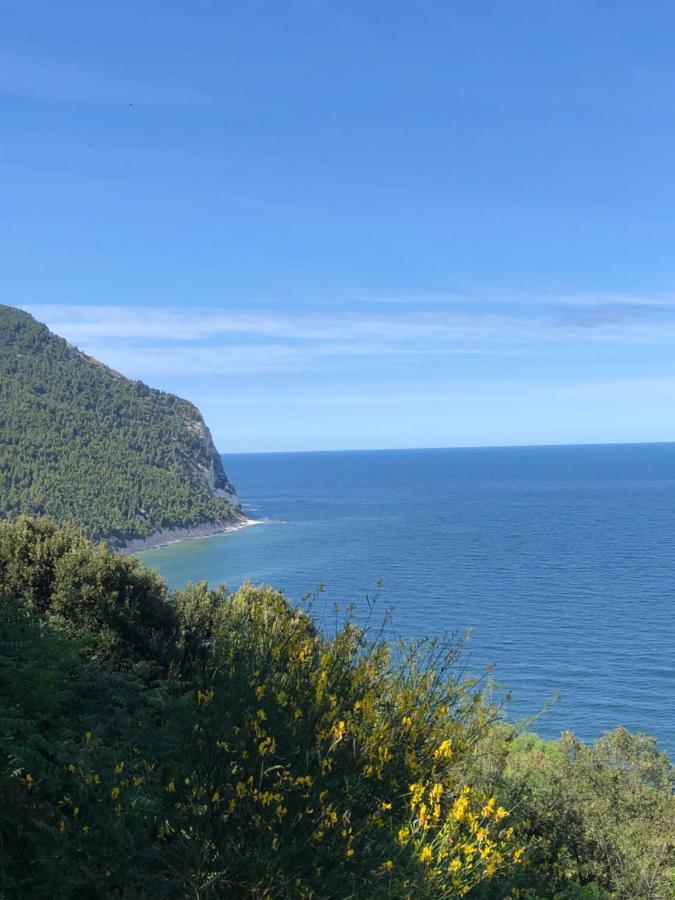 Diecidodici Boutiquerooms Sirolo Bagian luar foto